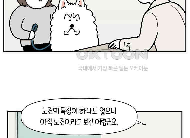 극한견주 시즌2 프롤로그 10