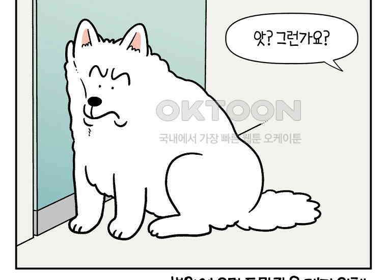 극한견주 시즌2 프롤로그 11
