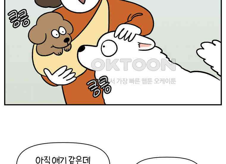 극한견주 시즌2 프롤로그 16