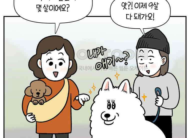 극한견주 시즌2 프롤로그 17