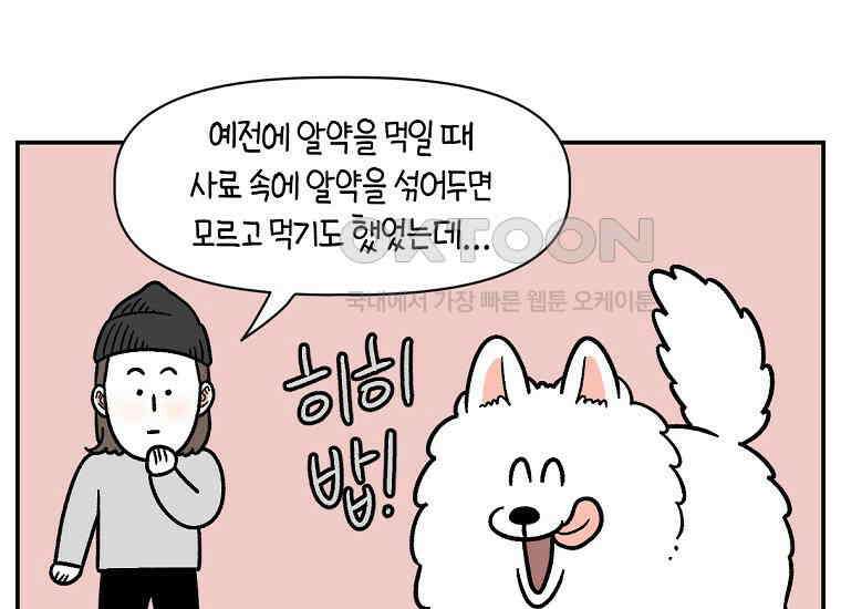 극한견주 시즌2 7화 가루약 맛있게 먹이기 3
