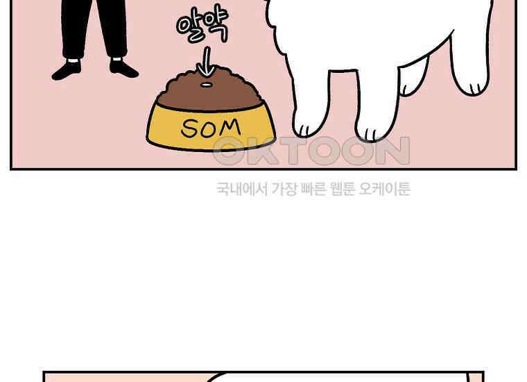 극한견주 시즌2 7화 가루약 맛있게 먹이기 4