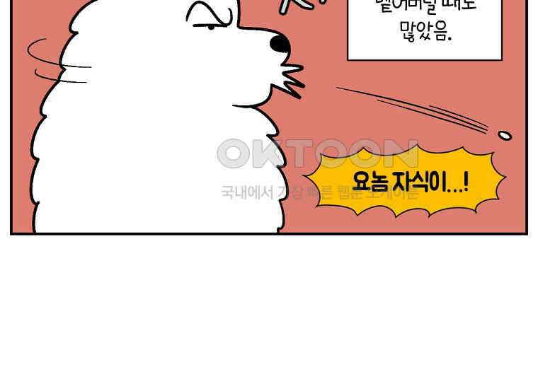 극한견주 시즌2 7화 가루약 맛있게 먹이기 8