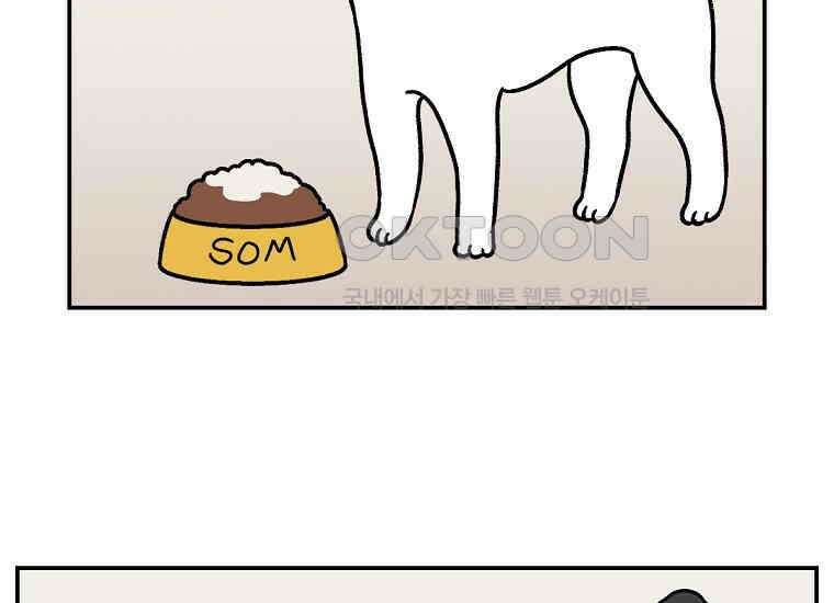 극한견주 시즌2 7화 가루약 맛있게 먹이기 15