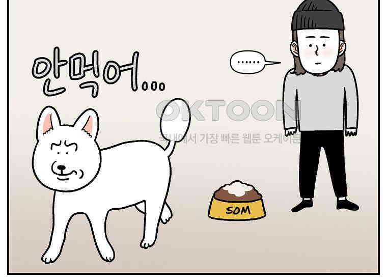 극한견주 시즌2 7화 가루약 맛있게 먹이기 16