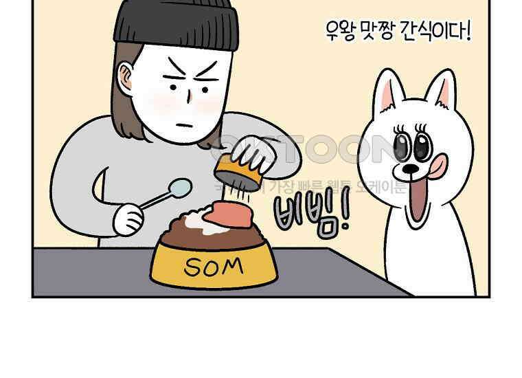 극한견주 시즌2 7화 가루약 맛있게 먹이기 21