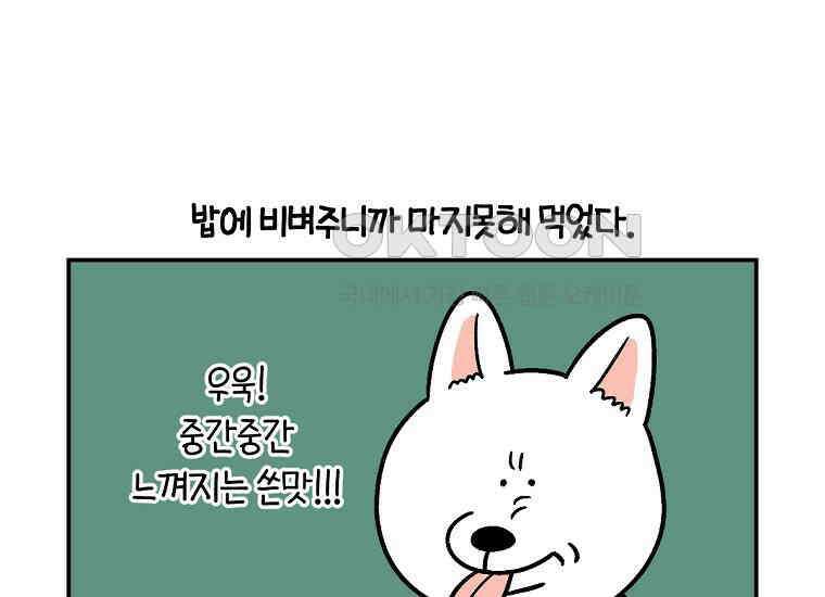 극한견주 시즌2 7화 가루약 맛있게 먹이기 22