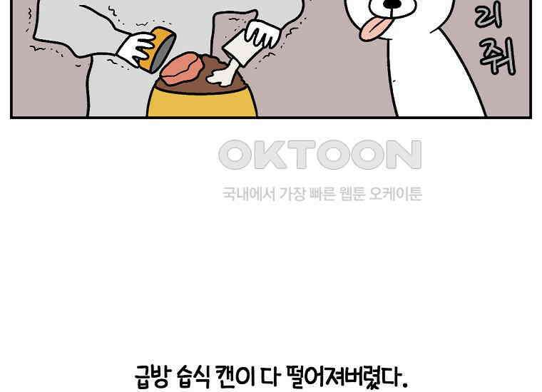 극한견주 시즌2 7화 가루약 맛있게 먹이기 25