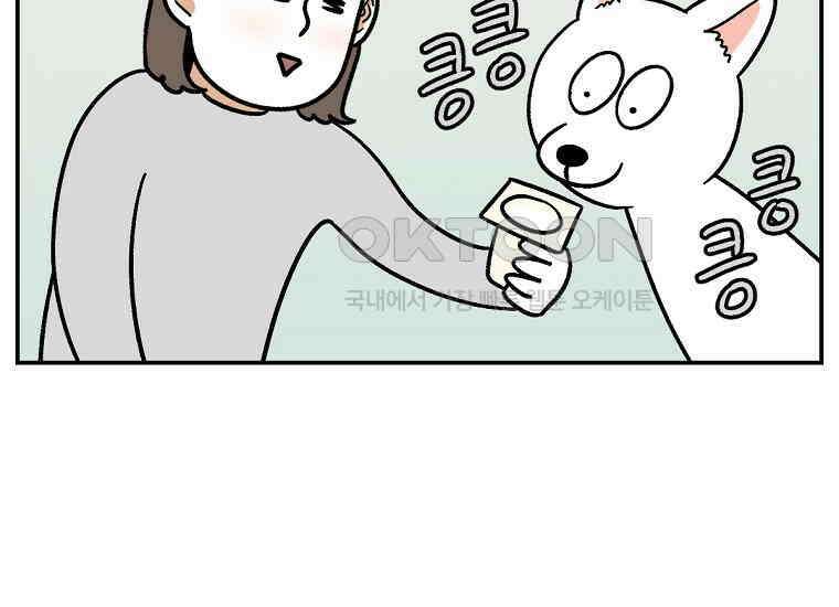 극한견주 시즌2 7화 가루약 맛있게 먹이기 30