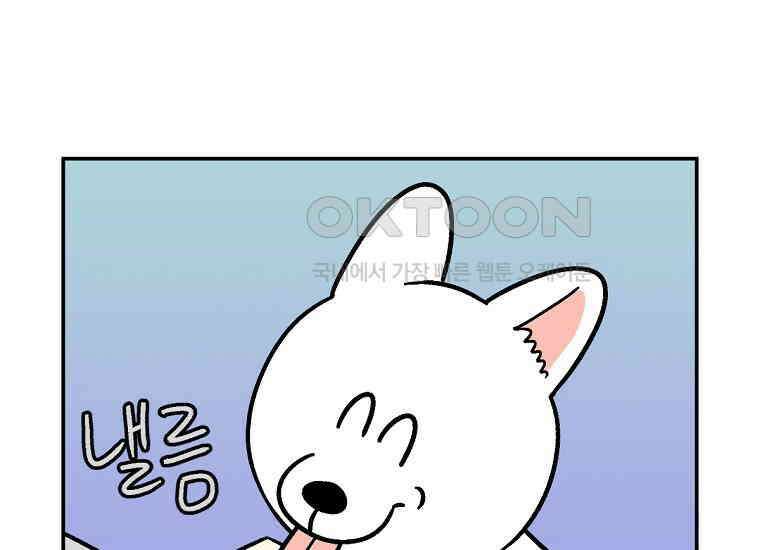 극한견주 시즌2 7화 가루약 맛있게 먹이기 31