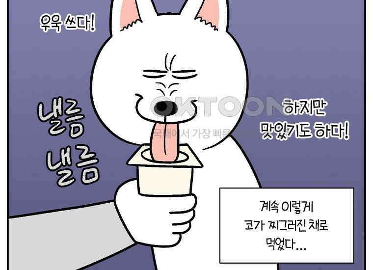 극한견주 시즌2 7화 가루약 맛있게 먹이기 35