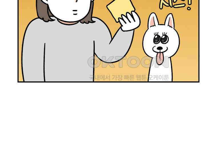 극한견주 시즌2 7화 가루약 맛있게 먹이기 39