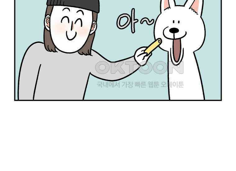극한견주 시즌2 7화 가루약 맛있게 먹이기 46
