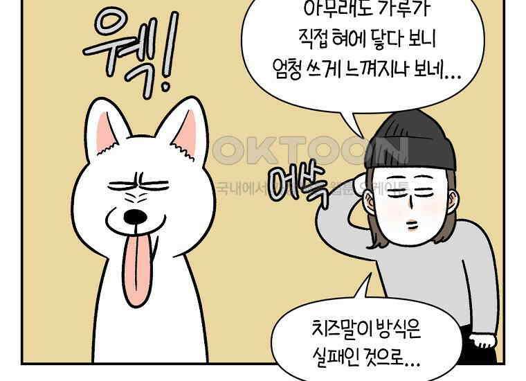 극한견주 시즌2 7화 가루약 맛있게 먹이기 49