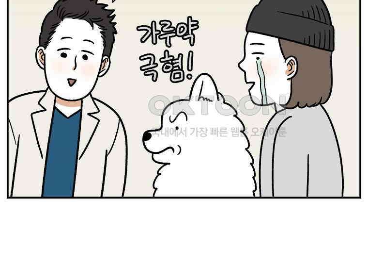 극한견주 시즌2 7화 가루약 맛있게 먹이기 51
