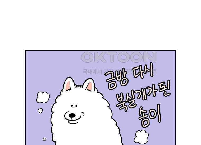극한견주 시즌2 7화 가루약 맛있게 먹이기 52