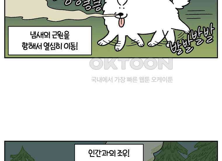 극한견주 시즌2 20화 늑대의 후예 8