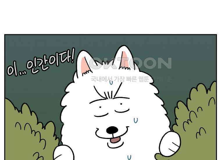 극한견주 시즌2 20화 늑대의 후예 12