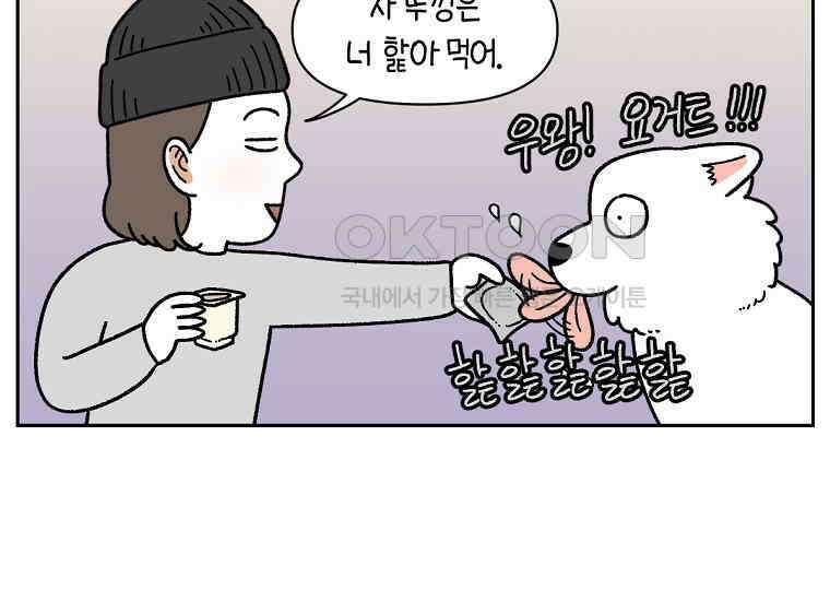 극한견주 시즌2 20화 늑대의 후예 35