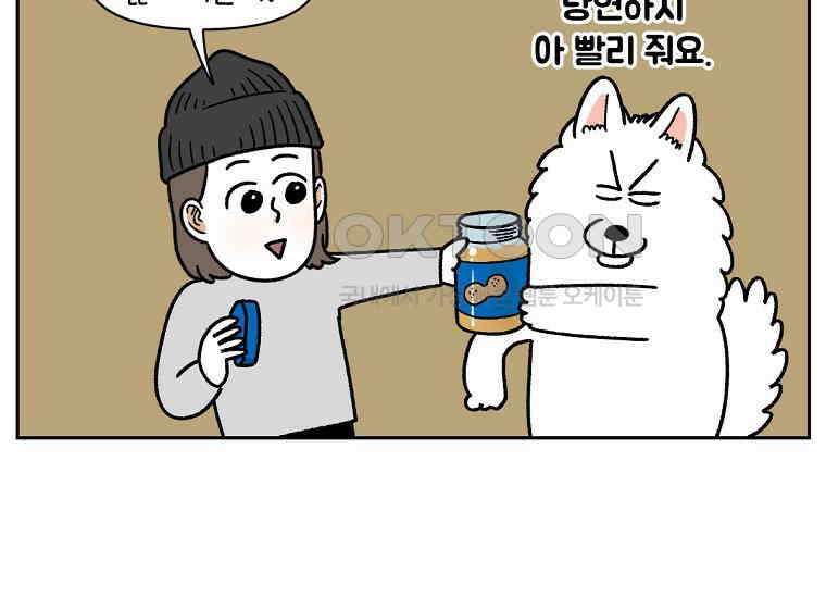 극한견주 시즌2 20화 늑대의 후예 42