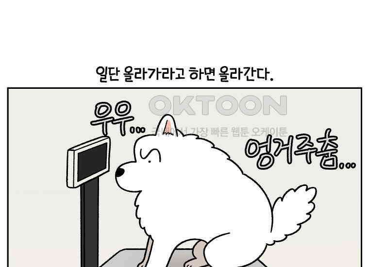 극한견주 시즌2 26화 동물병원(1) 27