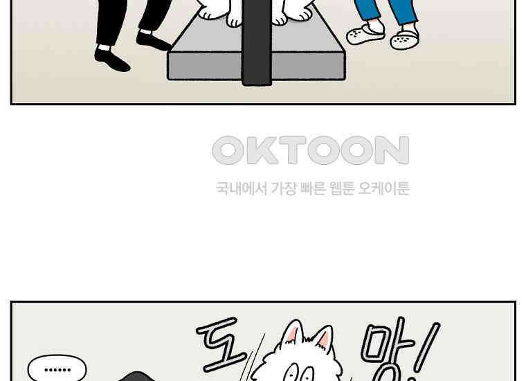 극한견주 시즌2 26화 동물병원(1) 31