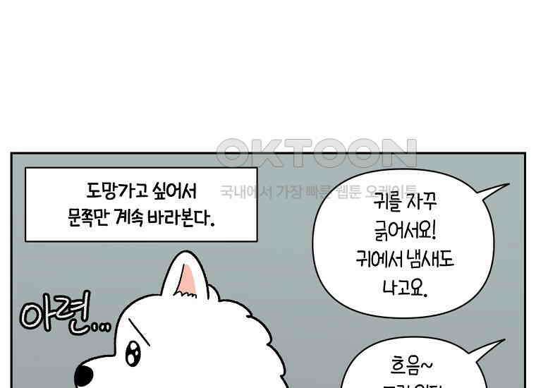 극한견주 시즌2 26화 동물병원(1) 47