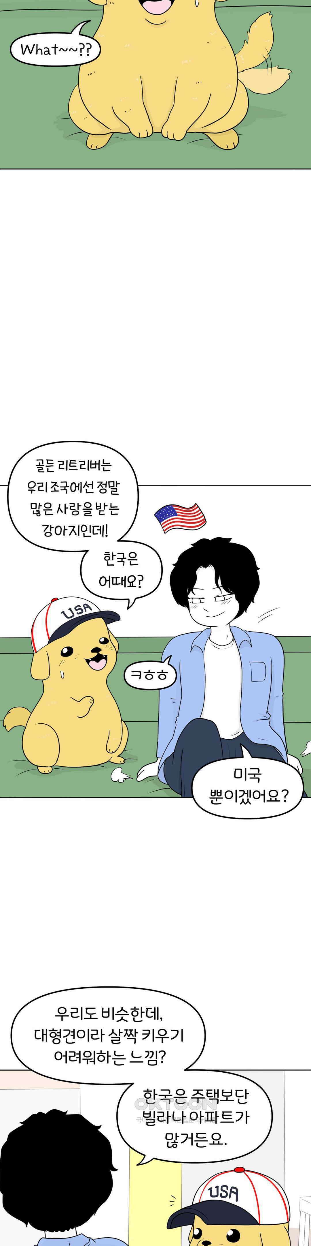 매운맛 커플 골든 리트리버 16