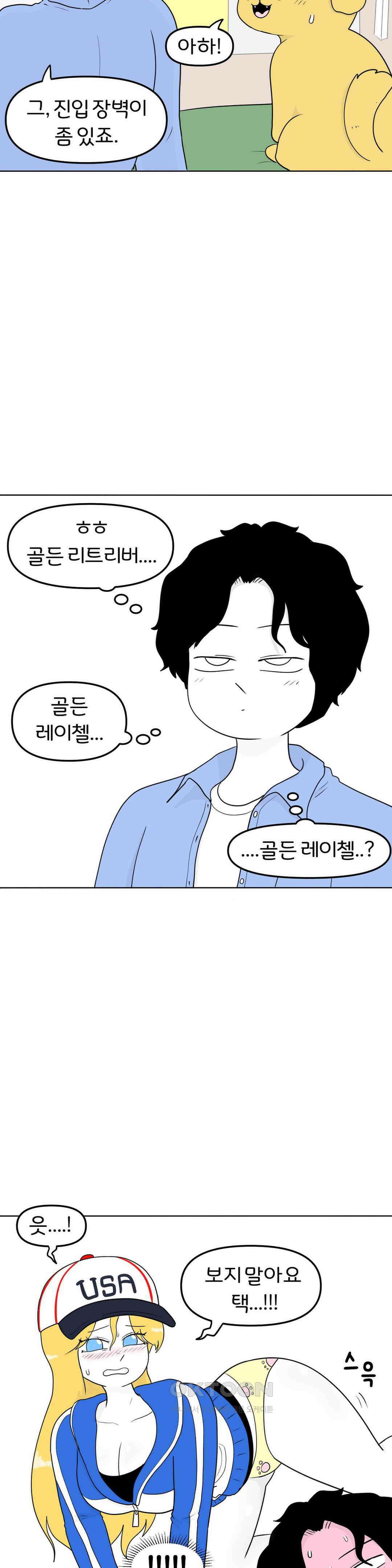 매운맛 커플 골든 리트리버 17