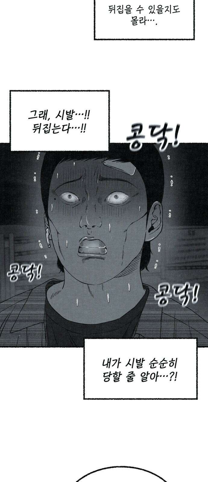 벌집 44화 74