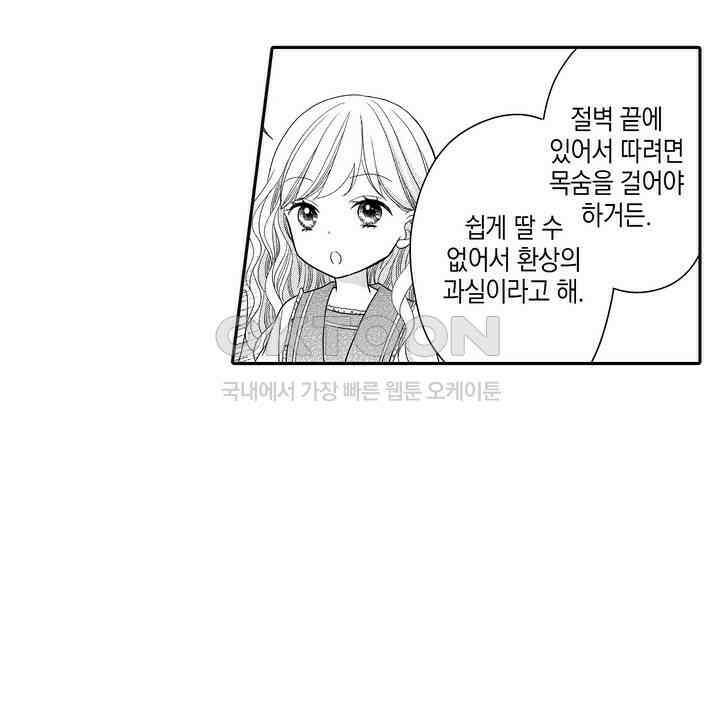 파멸 엔딩뿐인 악역영애, 맛있는 요리를 만들며 지내겠습니다. 19화 6