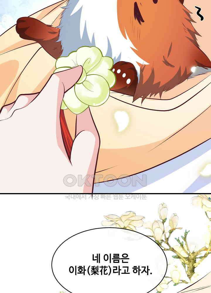 광비: 뚱보 악녀로 환생한 특수요원 165 10