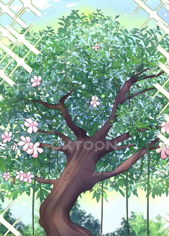 광비: 뚱보 악녀로 환생한 특수요원 221 11