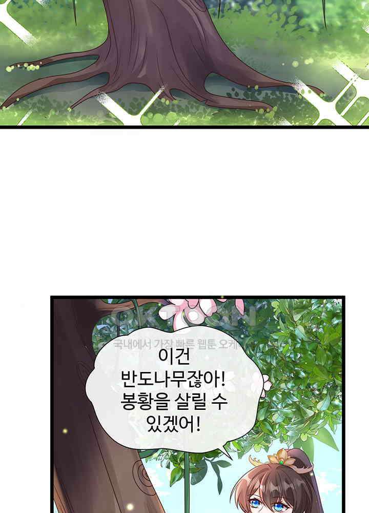 광비: 뚱보 악녀로 환생한 특수요원 221 12