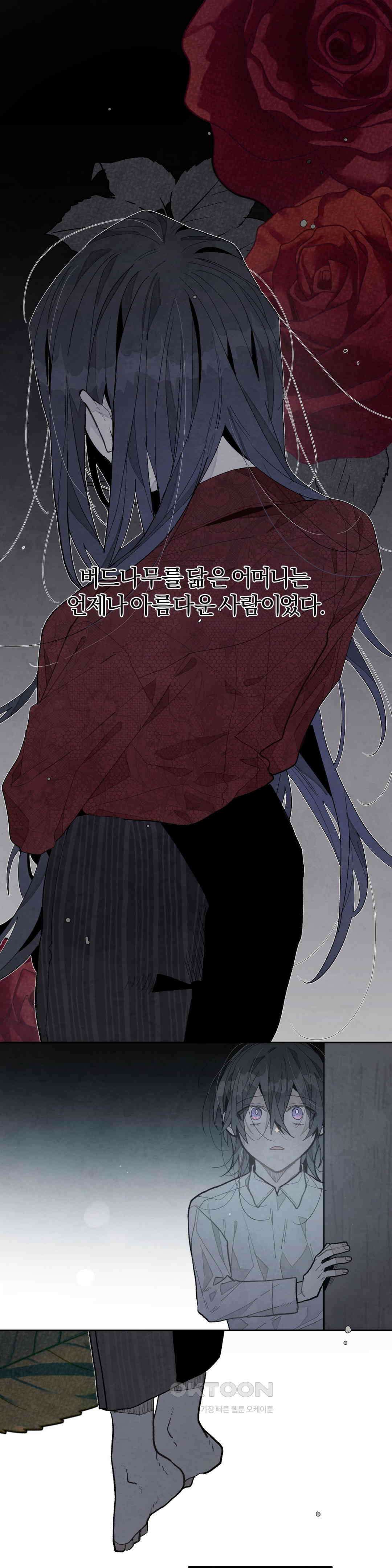A와 B의 초상 240화 1