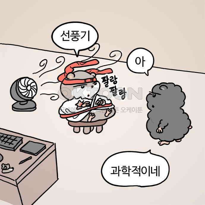 흔한햄 2부 18화 : 제대로 햄 3