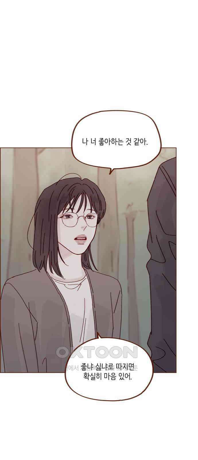 홍시는 날 좋아해! 284화 : 그게 내 진심이야 6