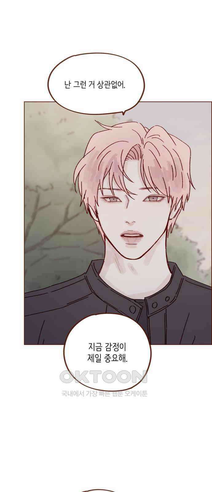 홍시는 날 좋아해! 284화 : 그게 내 진심이야 10