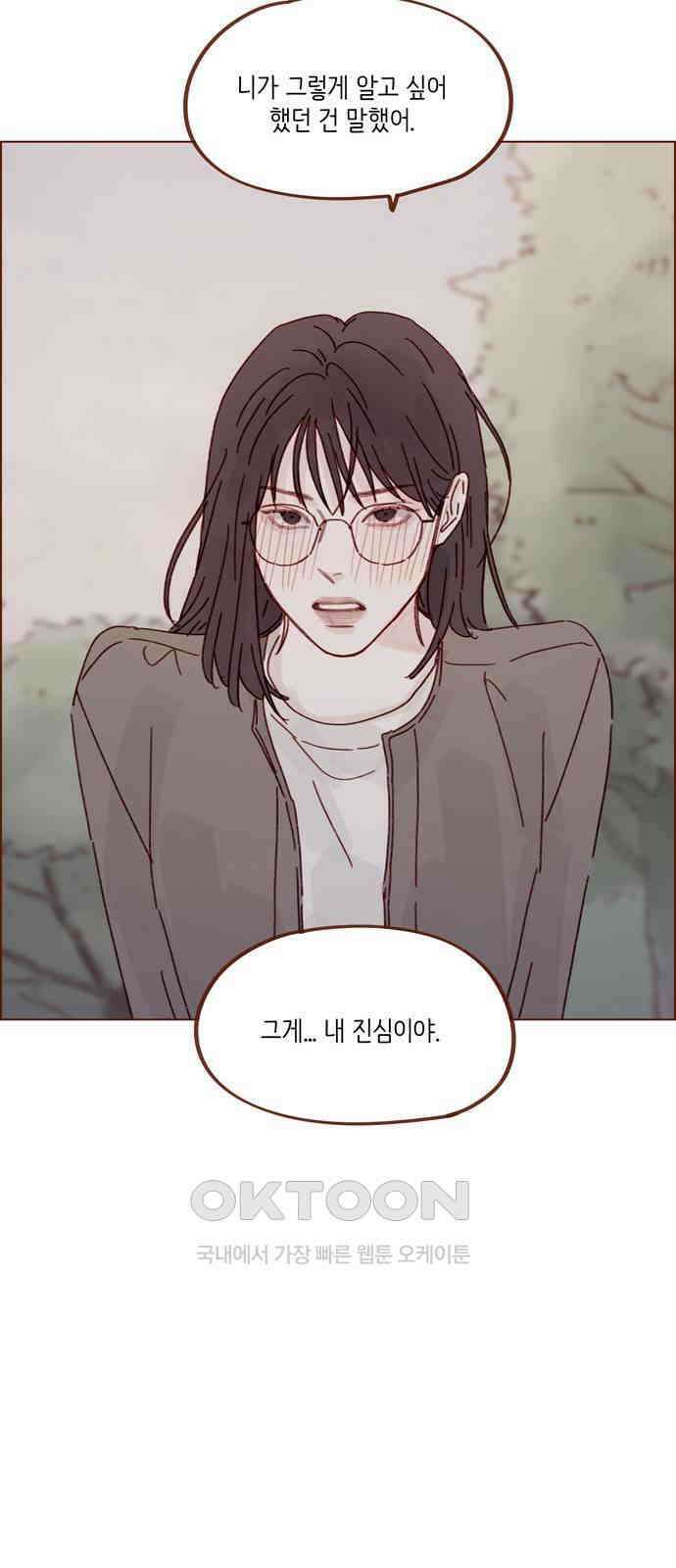홍시는 날 좋아해! 284화 : 그게 내 진심이야 12