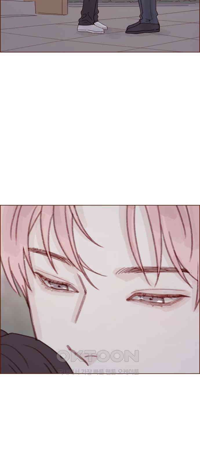 홍시는 날 좋아해! 284화 : 그게 내 진심이야 23