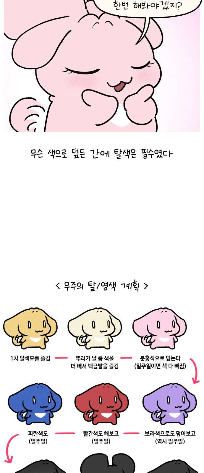 안녕, 나의 수집 163. 공주 빗 (2) 2