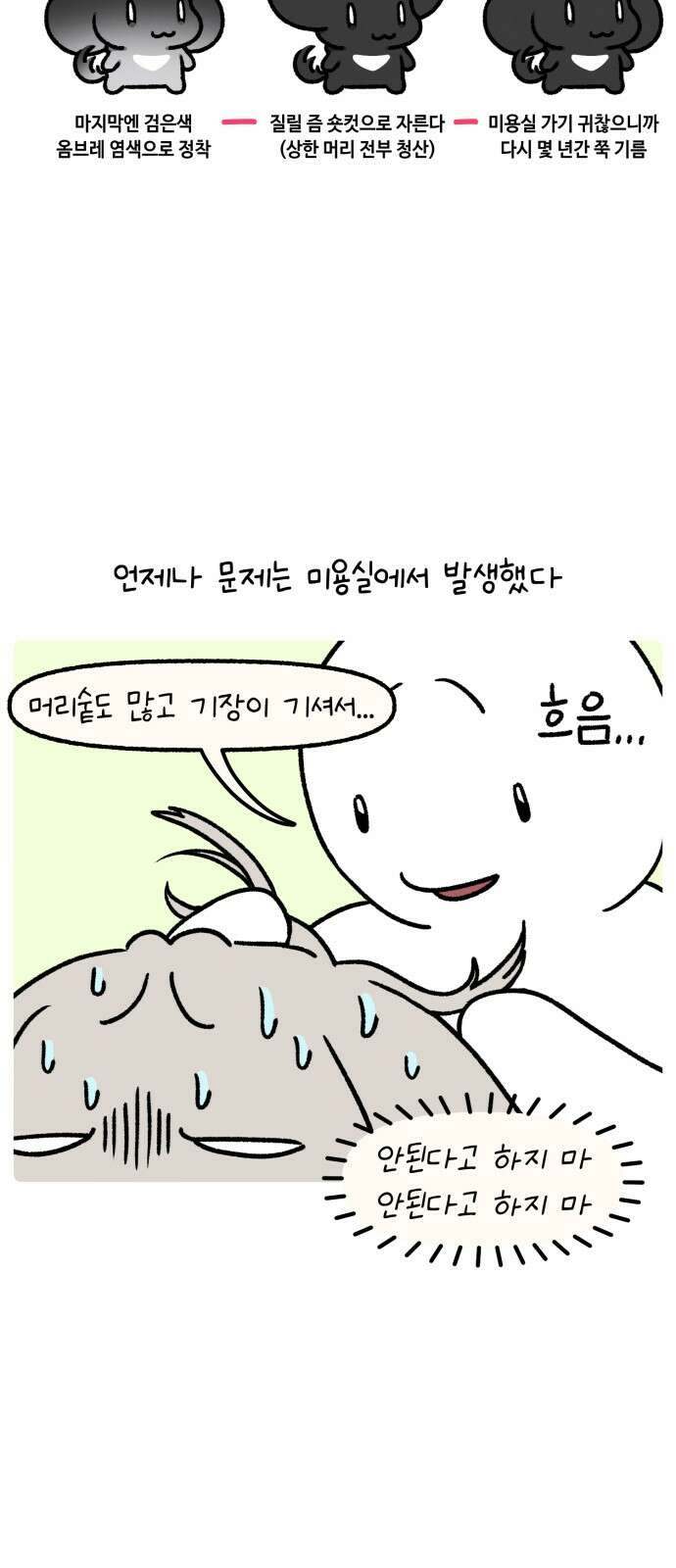 안녕, 나의 수집 163. 공주 빗 (2) 3