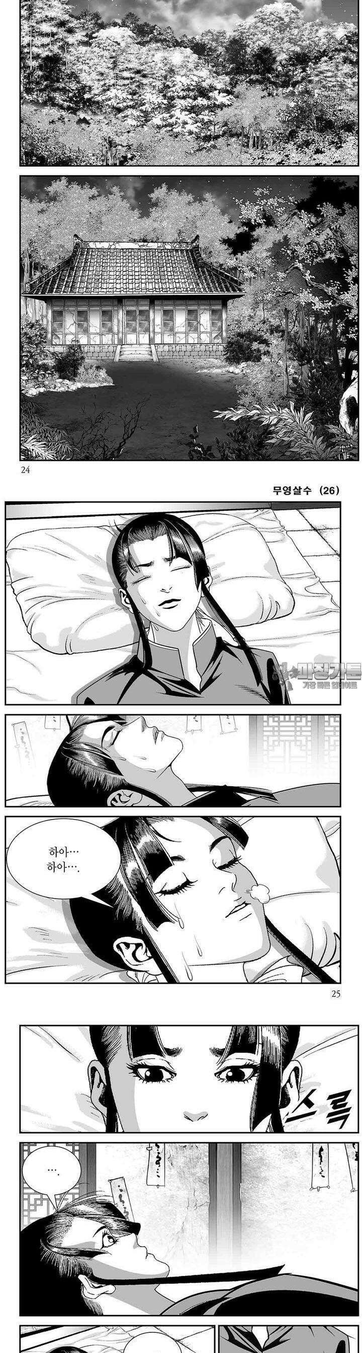 무영살수 26권 8