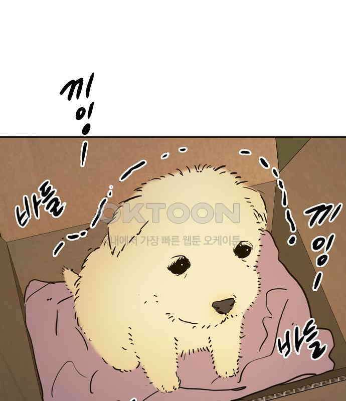 랑데뷰 외전-개줍 랑데뷰(1) 26