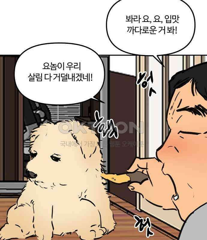 랑데뷰 외전-개줍 랑데뷰(1) 58