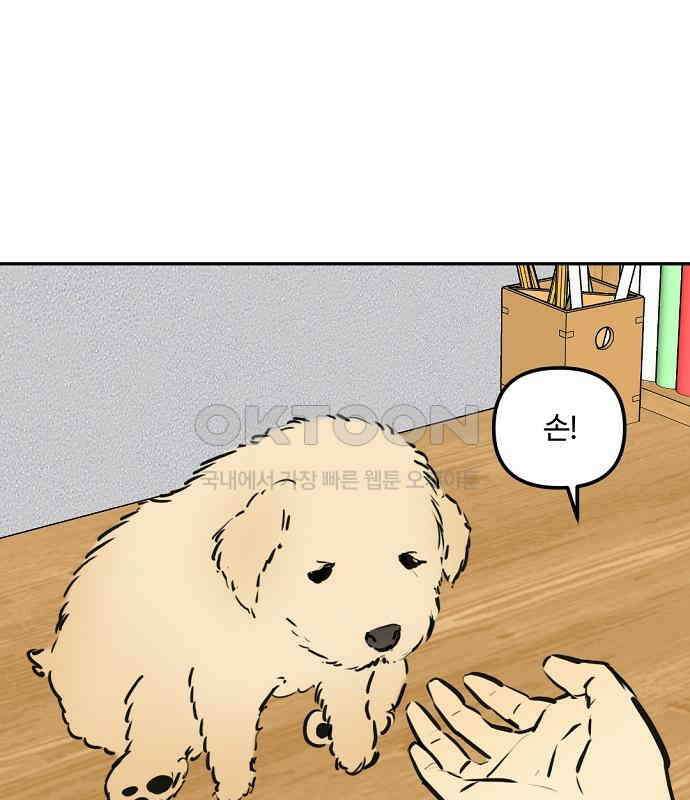 랑데뷰 외전-개줍 랑데뷰(1) 65
