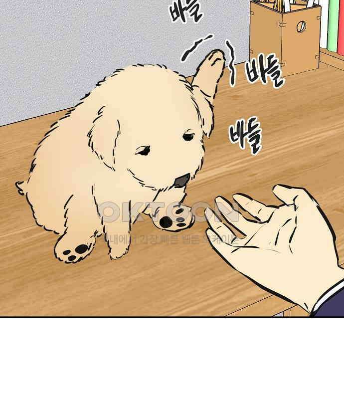 랑데뷰 외전-개줍 랑데뷰(1) 67
