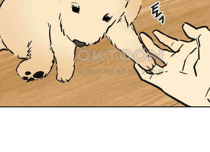 랑데뷰 외전-개줍 랑데뷰(1) 69