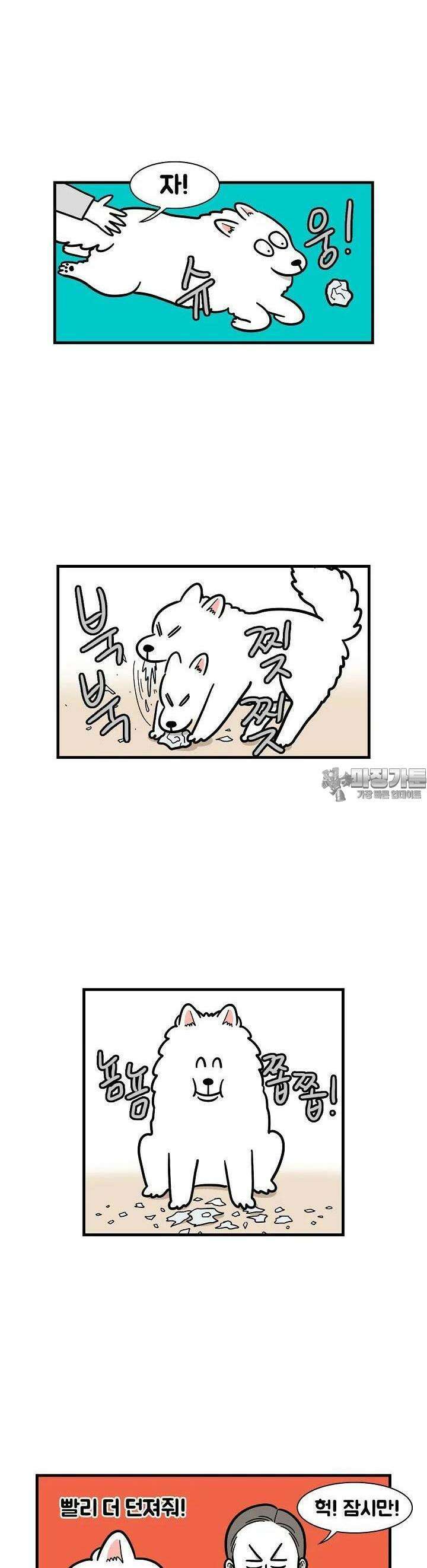 극한견주 51화 스피드 게임 2