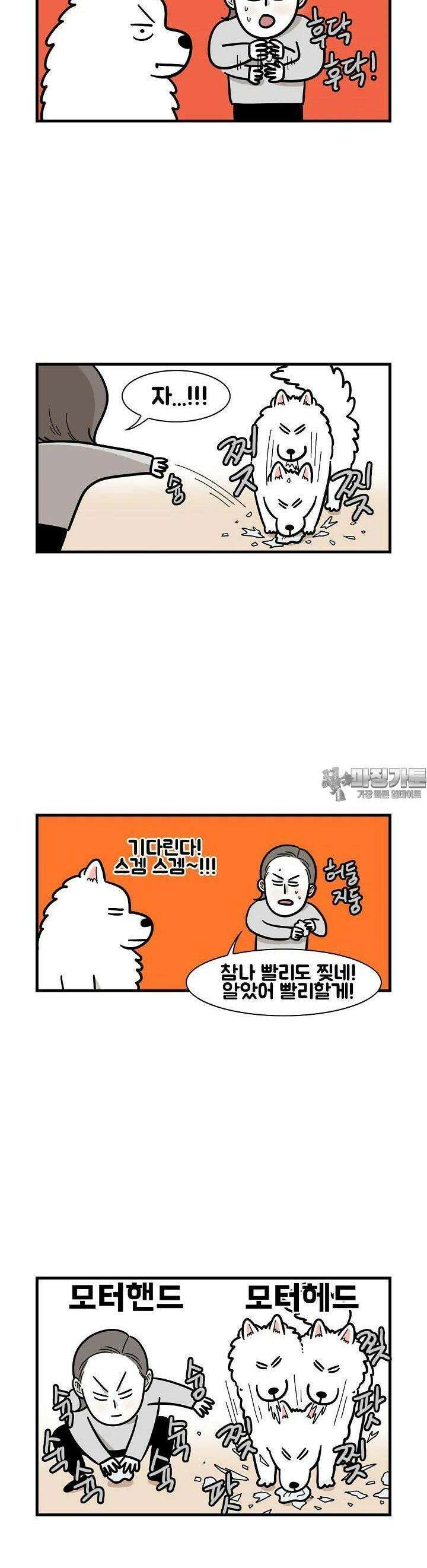 극한견주 51화 스피드 게임 3